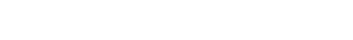 BDL Fire Protection Logo